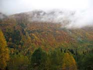 Осень в Алибекском ущелье